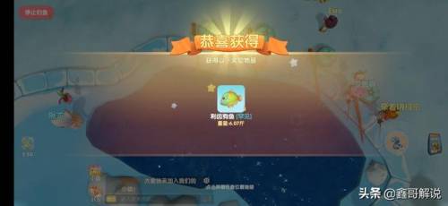 摩尔庄园奶油玉米浓汤(西餐厅玉米浓汤的做法)插图15