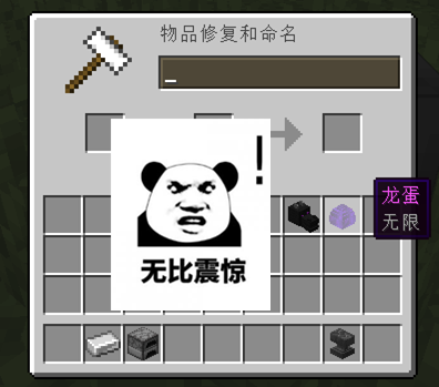 我的世界龙蛋有什么用(手机版龙蛋的孵化方法)插图7