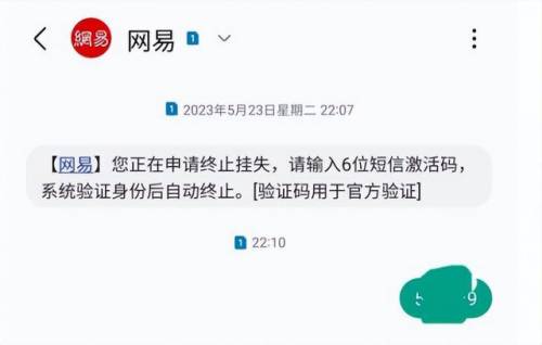 叶子猪梦幻西游(叶子猪马面礼包使用条件)插图4