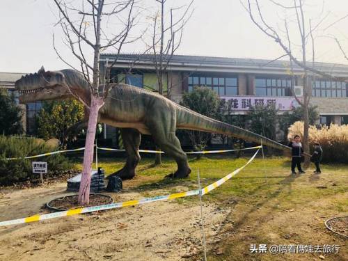 洛克王国紫藤怎么得到(洛克王国兑换紫藤的材料)插图27