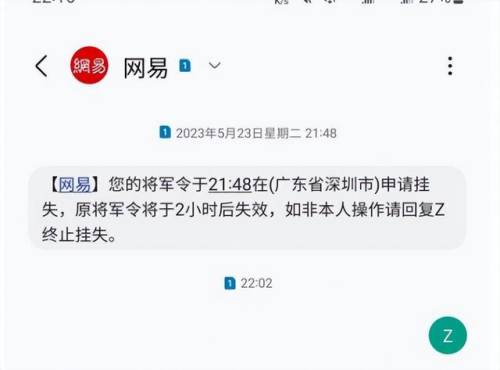 叶子猪梦幻西游(叶子猪马面礼包使用条件)插图3