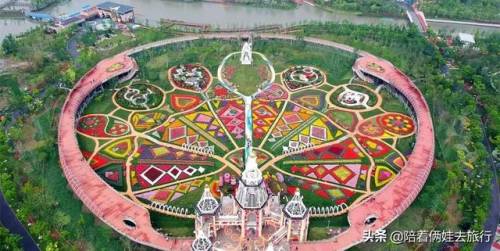 洛克王国紫藤怎么得到(洛克王国兑换紫藤的材料)插图39