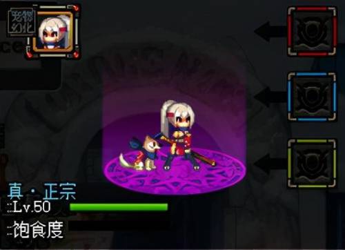 dnf2021值得入手的宠物(dnf平民宠物选择)插图7