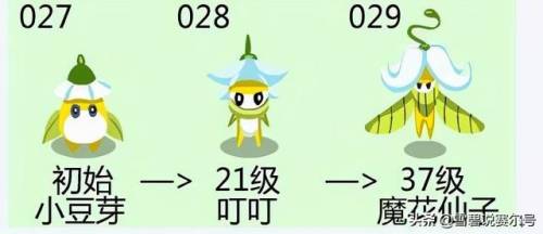 赛尔号小豆芽怎么刷出来(丽莎布布融合最佳材料)插图1