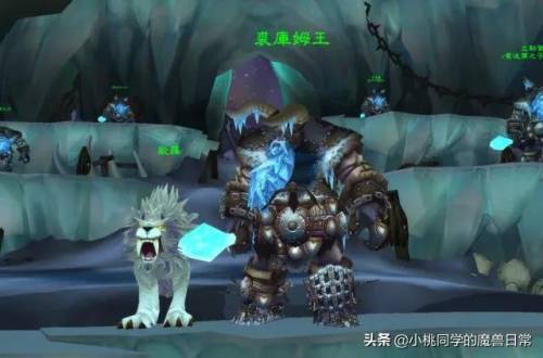 霍迪尔声望开启任务(霍迪尔之子声望任务详细攻略)插图9