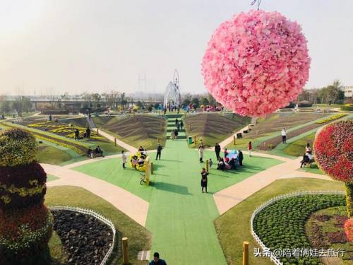 洛克王国紫藤怎么得到(洛克王国兑换紫藤的材料)插图38