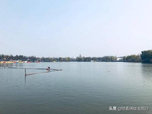 洛克王国紫藤怎么得到(洛克王国兑换紫藤的材料)插图5