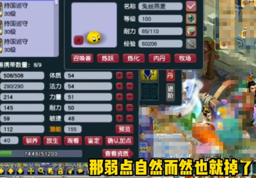 梦幻西游手游打书位置讲解(手游宝宝打书技能位置图)插图11