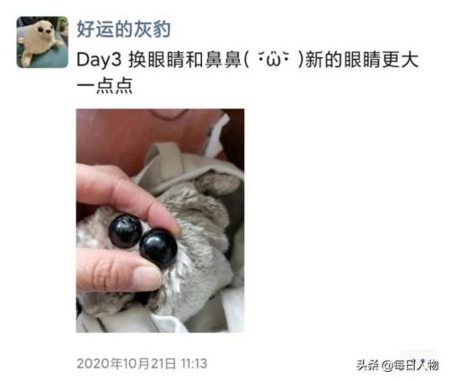人偶师的痕迹(人偶师最后的凶手是谁)插图4