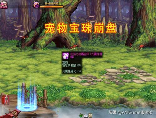 dnf宠物智力宝珠有哪些(DNF宠物附魔宝珠)插图1
