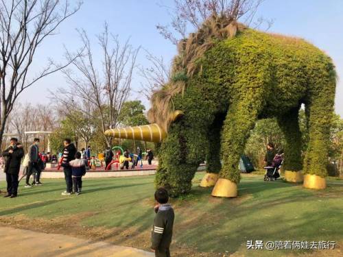 洛克王国紫藤怎么得到(洛克王国兑换紫藤的材料)插图52