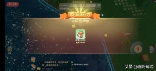 摩尔庄园奶油玉米浓汤(西餐厅玉米浓汤的做法)插图6