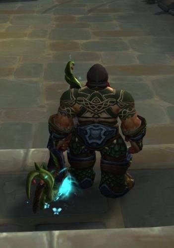 魔兽世界猎人幻化武器推荐(wow猎人锁甲幻化大全)插图9