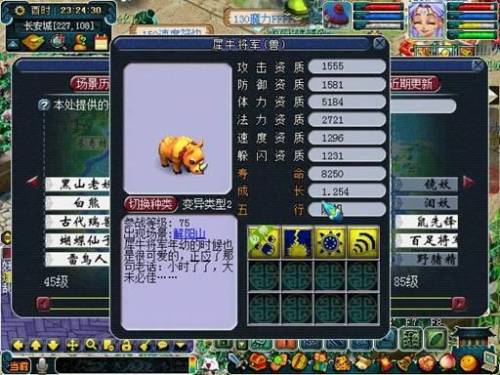 梦幻西游稀有宠物有哪些(梦幻西游岩冰龟算稀有宝宝吗)插图8