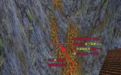 荻花前山攻略(周常荻花宫前山在哪)插图5