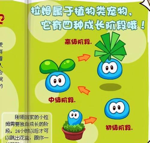 摩尔庄园手游剧情全流程(摩尔庄园官方手游)插图4