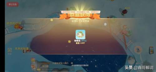 摩尔庄园奶油玉米浓汤(西餐厅玉米浓汤的做法)插图16