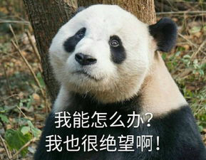 孤岛惊魂2秘籍(孤岛惊魂2控制台指令)插图7