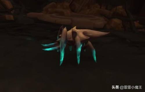 魔兽世界猎人必抓宠物(wlk猎人最强3个宝宝)插图12