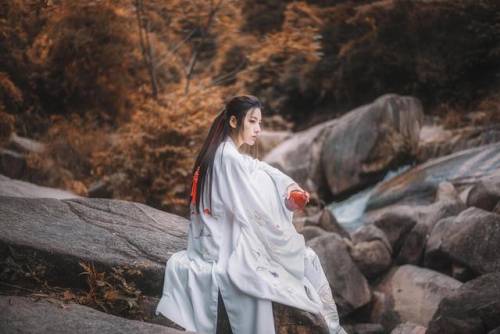 异世之逍遥修神(异世混沌修神诀)插图5