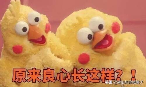 疯狂猜图品牌飞机尾(飞机机翼和机尾哪个位置好)插图37