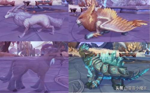 魔兽世界猎人必抓宠物(wlk猎人最强3个宝宝)插图10
