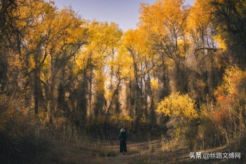 侠客风云传极乐宫版本(侠客风云传前传攻略)插图8