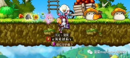 冒险岛恶魔猎手刷怪技能(冒险岛刷怪能力排行)插图14