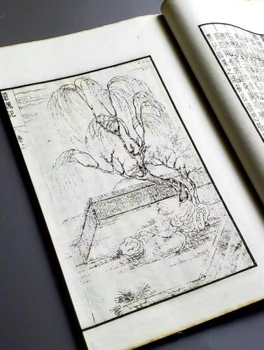 人鬼传奇(钟馗天师1994金超群版)插图3