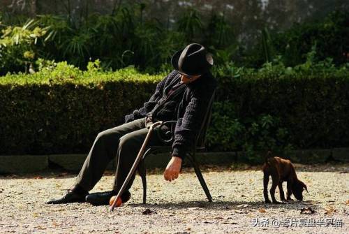 教父游戏剧情(教父第二部剧情解析)插图63