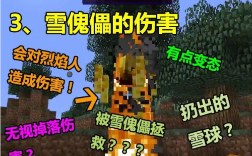 我的世界傀儡大全制作图(MC中有几种傀儡)插图2