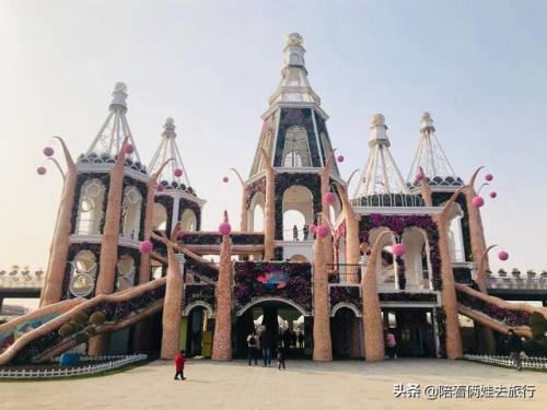 洛克王国紫藤怎么得到(洛克王国兑换紫藤的材料)插图30