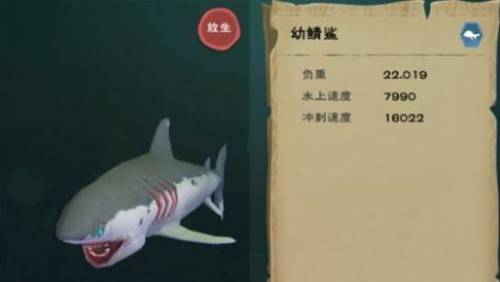 创造与魔法十大平民坐骑(创造与魔法最容易抓的龙)插图1