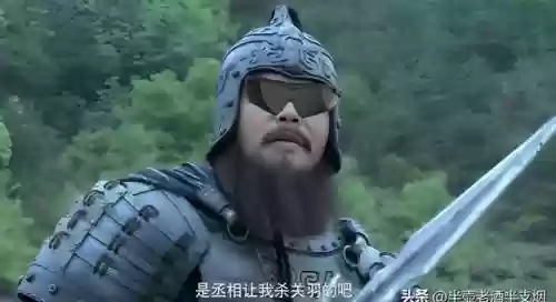 战国无双5关羽阵容搭配(三国志战略版阵容搭配)插图3
