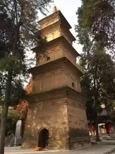 唐僧墓园阵容搭配图片大全(造梦西游4唐僧装备图鉴)插图3