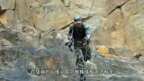 特战英豪搭配什么阵容(格斗家配什么阵容)插图1