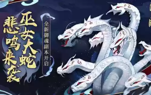 阴阳挖土最新阵容搭配图(天照低配挖土阵容)插图