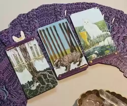 卡牌星座占卜阵容搭配(星座塔罗牌)插图7