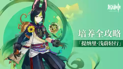 钟离提纳里阵容搭配(原神钟离队伍搭配推荐)插图