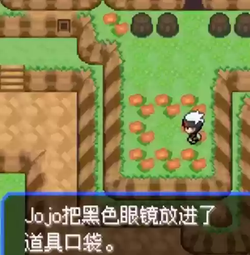 口袋妖怪绿宝石5阵容搭配(究极绿宝石5.5前期阵容推荐)插图44