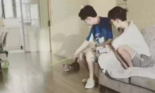 和平精英最恶心的阵容是谁(王者三排恶心阵容)插图1