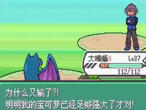 口袋妖怪绿宝石5阵容搭配(究极绿宝石5.5前期阵容推荐)插图59