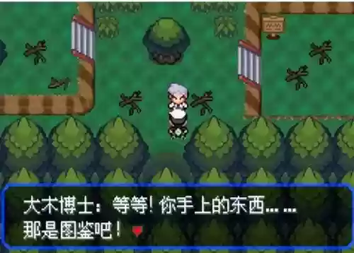 口袋妖怪绿宝石5阵容搭配(究极绿宝石5.5前期阵容推荐)插图10