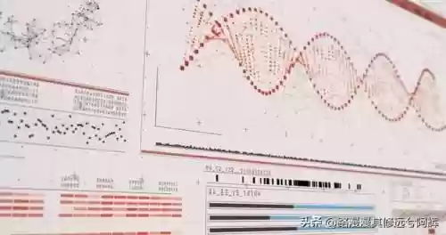 梦想世界3三开阵容推荐(梦想世界3后期职业推荐)插图3
