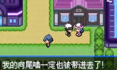 口袋妖怪绿宝石5阵容搭配(究极绿宝石5.5前期阵容推荐)插图39