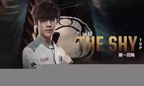 theshy冠军阵容搭配插图
