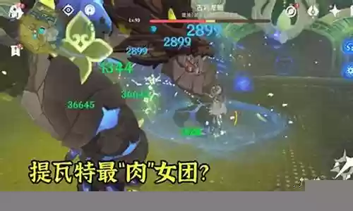 雷神草阵容搭配插图