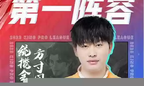 狼队全局阵容搭配插图