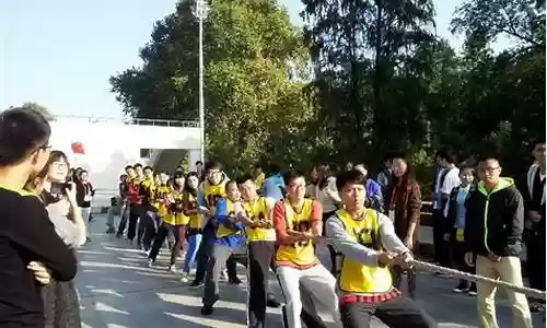 拔河比赛阵容搭配插图