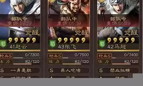 关羽张飞赵云阵容搭配插图
